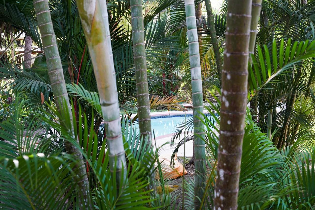 Hotel Luz De Luna Playa Santa Teresa  Exterior photo